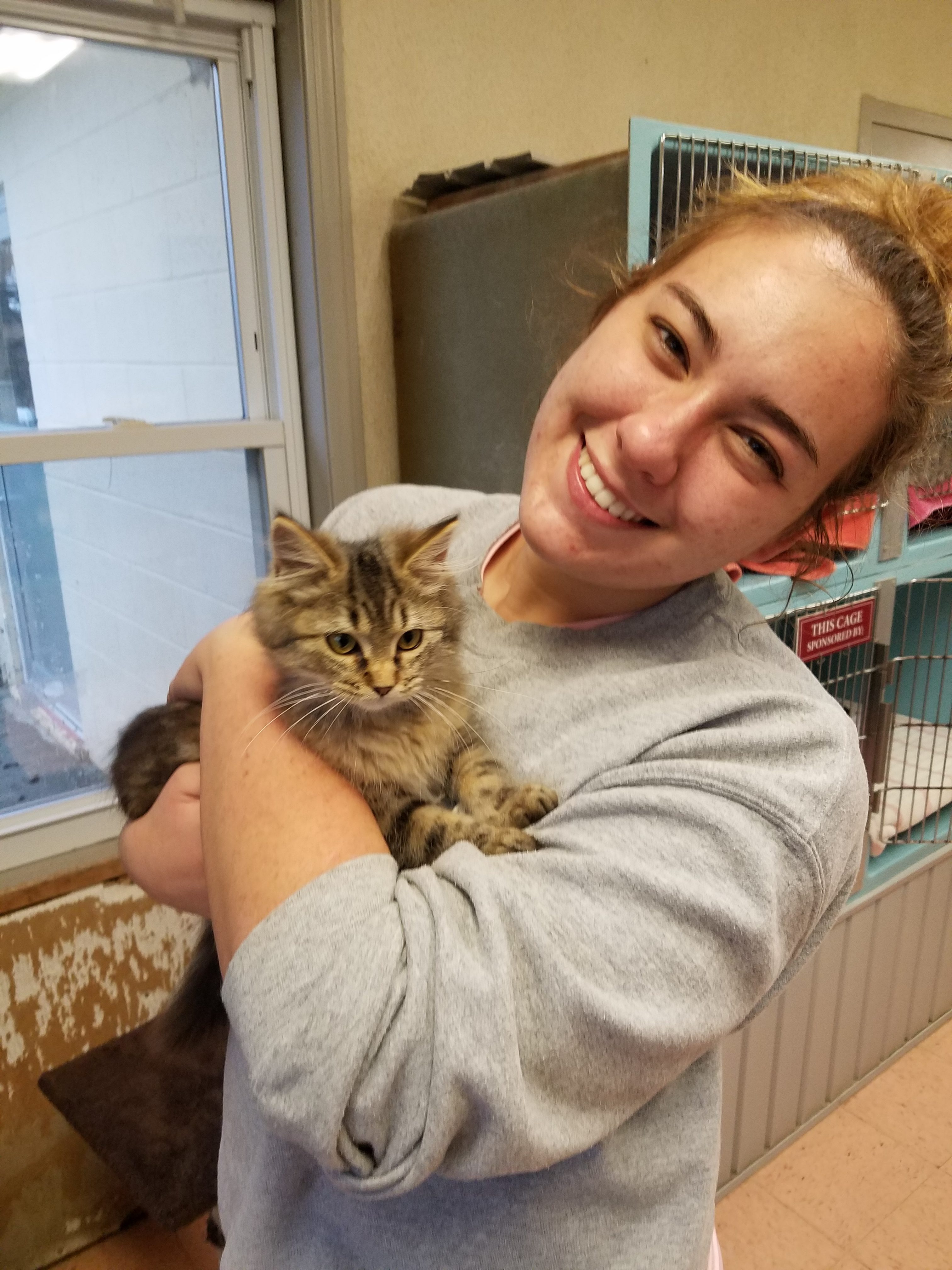 Get To Know Your Allies | Chelsea Contino | PULSE Fellow